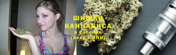 ГАЛЛЮЦИНОГЕННЫЕ ГРИБЫ Костерёво