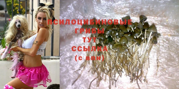 COCAINE Балахна